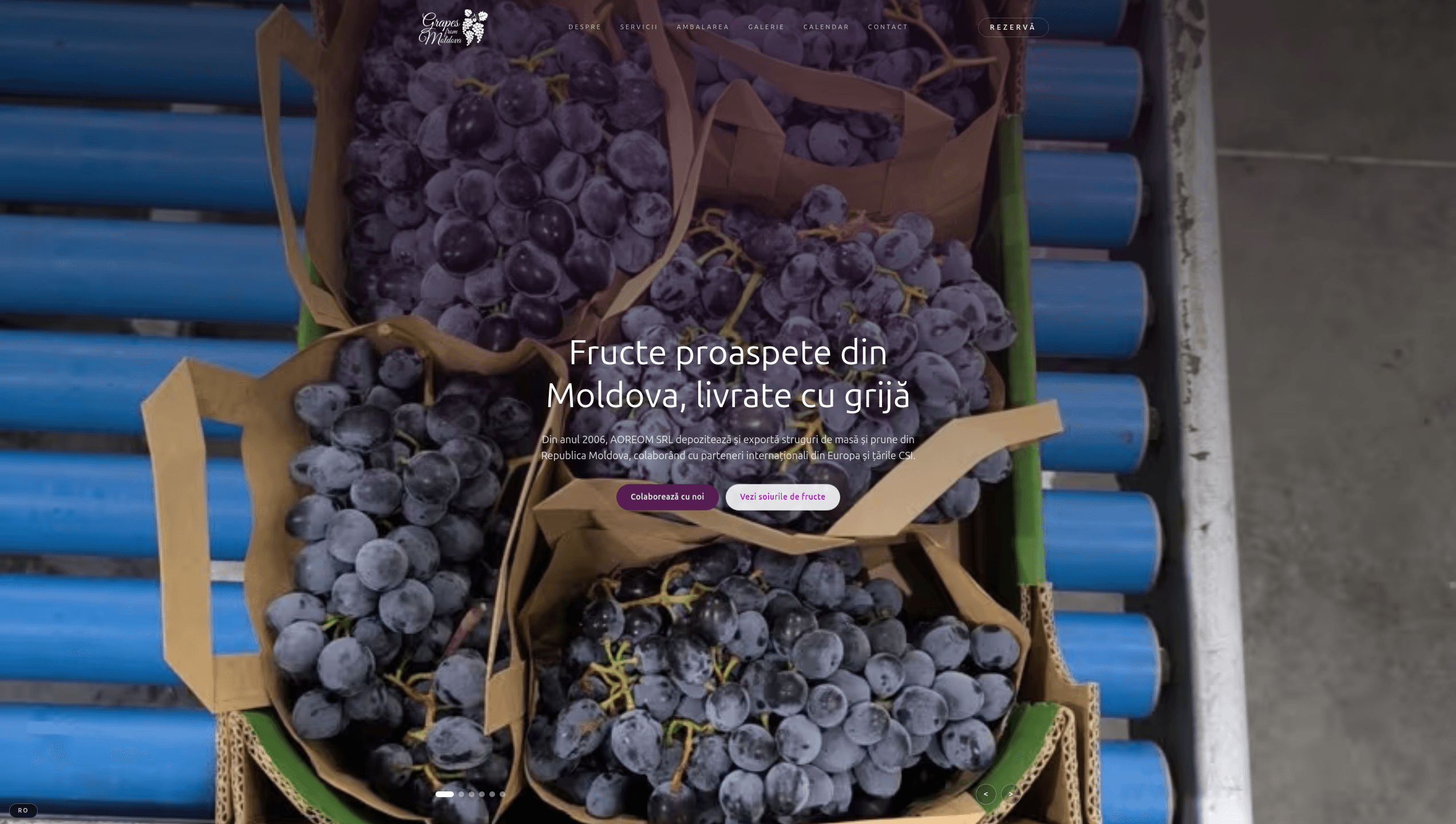 Screenshot al paginii principale Grapes from Moldova